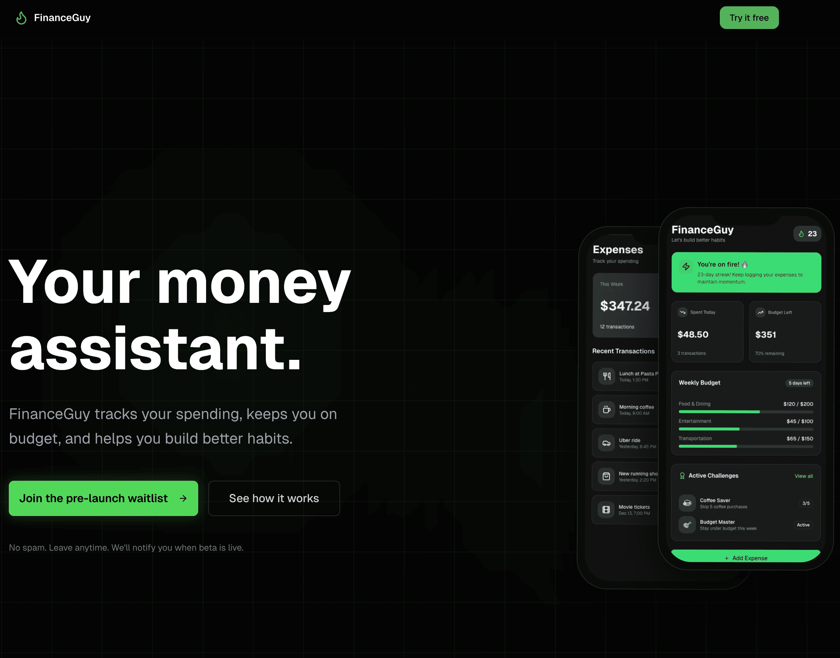 FinanceGuy project preview